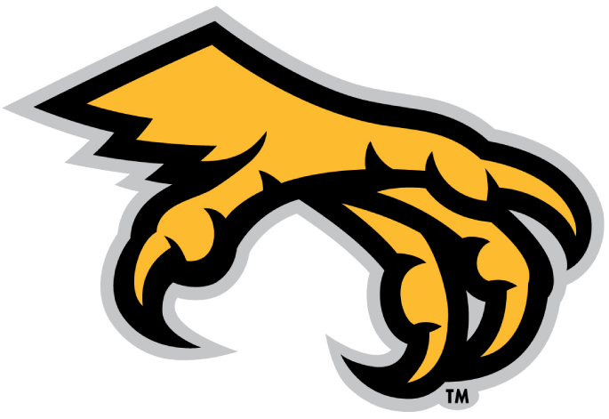 Kennesaw State Owls 2012-Pres Alternate Logo v2 diy DTF decal sticker